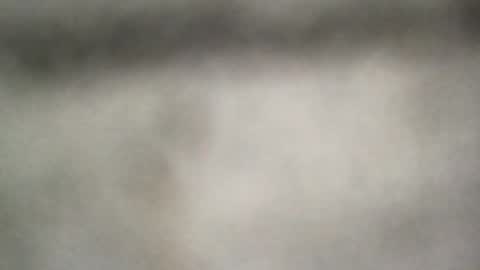 all_most_sane online show from 25, 6, 2026