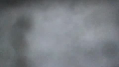 all_most_sane online show from 4, 8, 2026