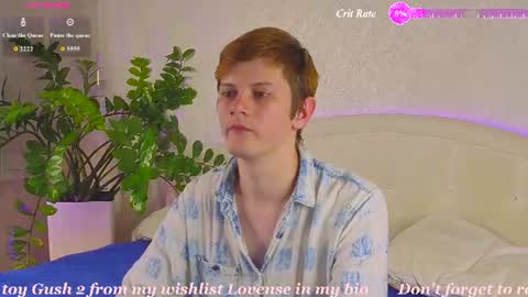 allert_ online show from 15, 7, 2026