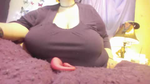 Alli Kat online show from 1, 2, 2025