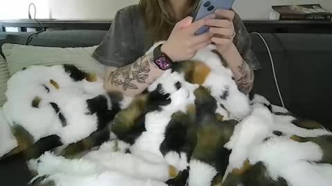 alliebearx online show from 28, 4, 2026
