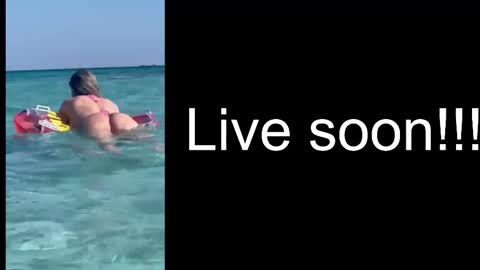 Allie online show from 4, 12, 2025