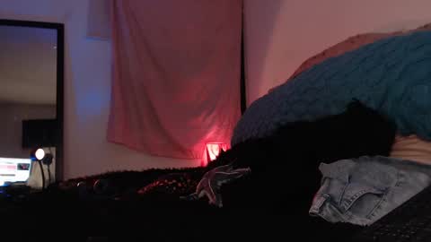 Ally online show from 16, 2, 2025