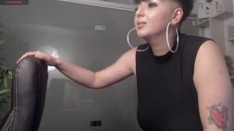         online show from 31, 1, 2025