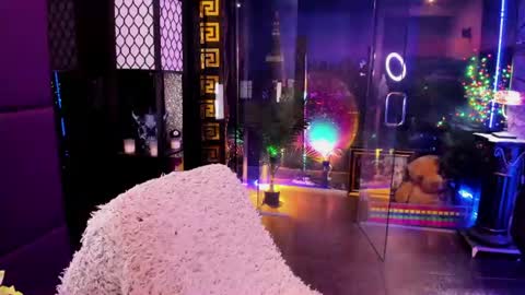 Alma online show from 26, 6, 2026