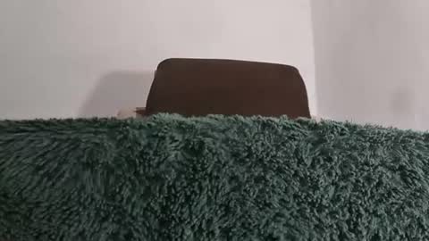 alotofcream4u online show from 8, 7, 2026