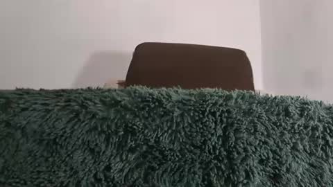 alotofcream4u online show from 17, 7, 2026