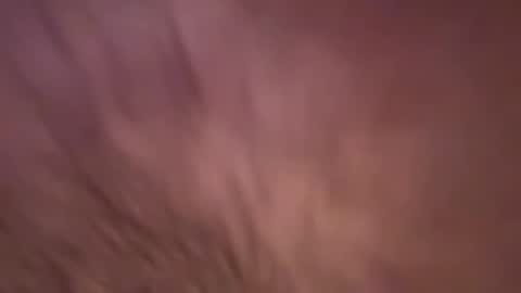 alphazack14 online show from 19, 2, 2025