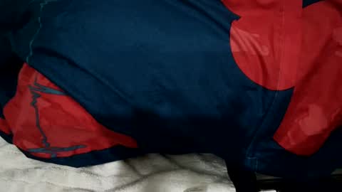 amadeusz online show from 22, 12, 2024