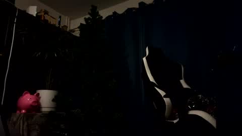 amadeusz online show from 4, 1, 2025