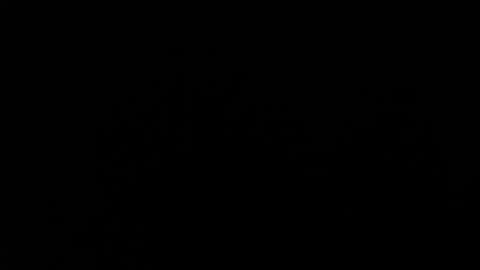 Amarantha online show from 19, 1, 2025