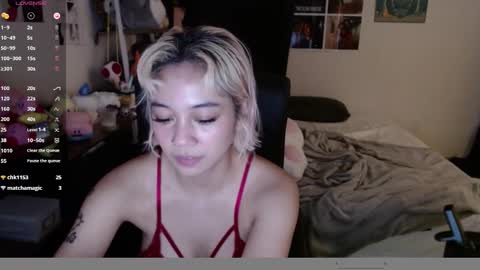 leash online show from 26, 12, 2024