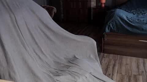 Malina online show from 13, 1, 2025