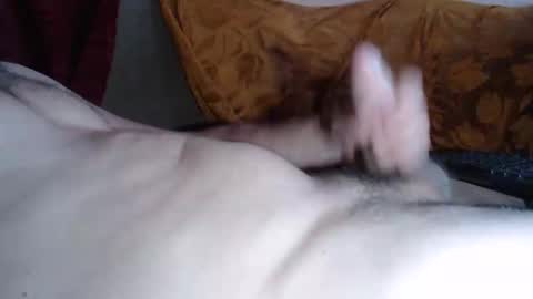 amazingcuteboy845 online show from 25, 5, 2026