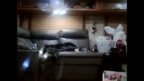 Snapshot of ambionce chatting on 21, 10, 2025 ambionce online show from 21, 10, 2025