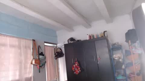 amelia  online show from 8, 12, 2024