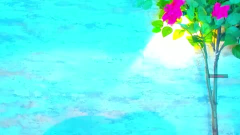  AMELIA.  online show from 1, 10, 2025