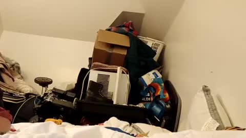 amileamariestar online show from 16, 12, 2024