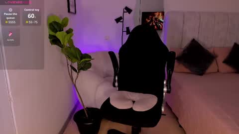    online show from 20, 6, 2026