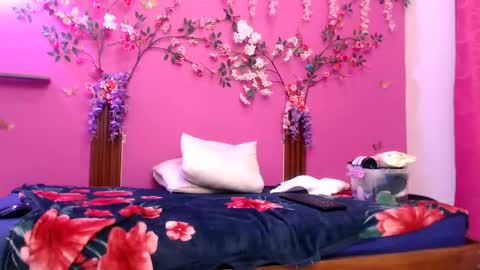 analdee online show from 3, 3, 2026