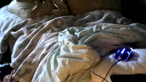 Snapshot of analwhore666 chatting on 18, 1, 2025 kinkylilanalslut online show from 18, 1, 2025