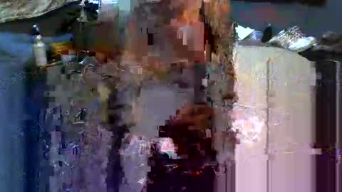 Snapshot of analwhore666 chatting on 16, 2, 2025 kinkylilanalslut online show from 16, 2, 2025