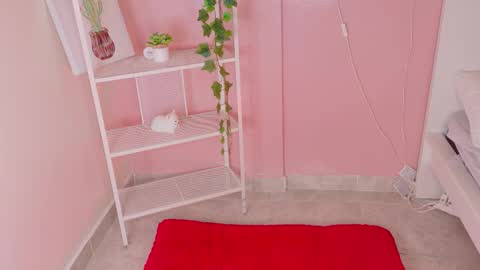 Kendra  online show from 12, 1, 2026