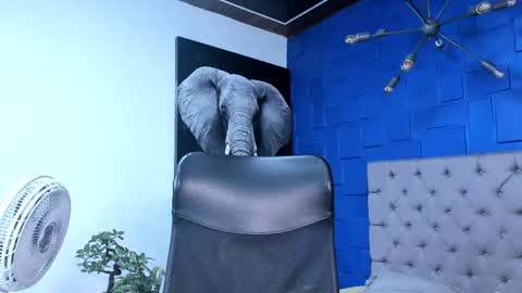 insta andres clark  online show from 26, 10, 2025