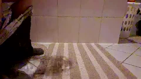 Snapshot of andris40 chatting on 8, 2, 2026 andris40 online show from 8, 2, 2026