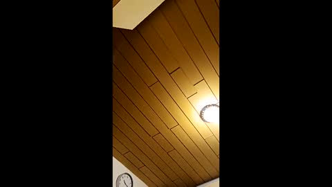 Snapshot of andris40 chatting on 22, 3, 2026 andris40 online show from 22, 3, 2026