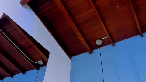  Andy  online show from 19, 2, 2025