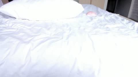 angel_andreww online show from 29, 7, 2026