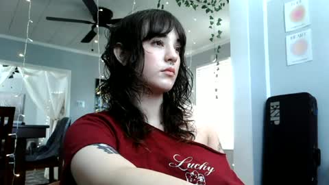angelalice555 online show from 24, 6, 2026
