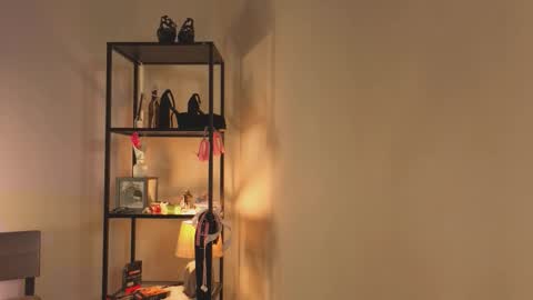 Snapshot of angelospace chatting on 31, 1, 2026 Megan online show from 31, 1, 2026