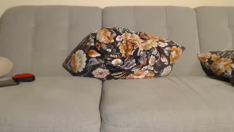 Snapshot of anime_baby22 chatting on 25, 12, 2024 Alice online show from 25, 12, 2024