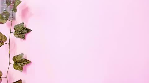 Snapshot of annebull_ chatting on 2, 2, 2025 Anne online show from 2, 2, 2025