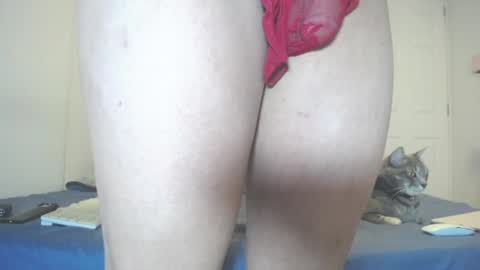  INDEPENDENT MODEL next srteam 240624 online show from 11, 7, 2026