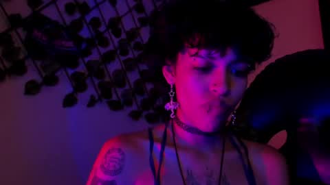 Anny online show from 31, 7, 2026