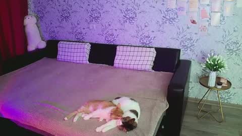 Annie online show from 16, 12, 2024