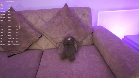 Ana online show from 21, 3, 2026