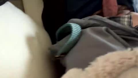 anonomousloser online show from 19, 3, 2026