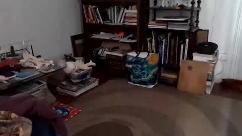 antonino85 online show from 24, 12, 2024