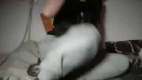 Snapshot of aphr0dite22 chatting on 6, 1, 2026 aphr0dite22 online show from 6, 1, 2026