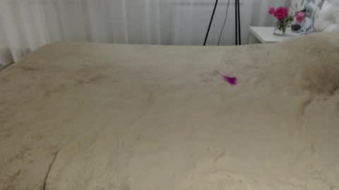 Snapshot of aphrodite83 chatting on 20, 9, 2025 Aphrodite online show from 20, 9, 2025