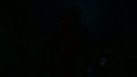 Snapshot of apixaba chatting on 29, 12, 2024 furry bear online show from 29, 12, 2024