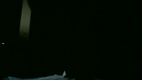 Snapshot of apixaba chatting on 9, 3, 2025 furry bear online show from 9, 3, 2025