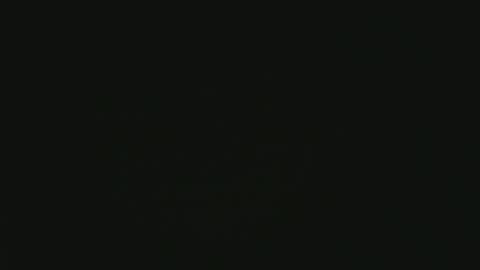 apollonfitx_69 online show from 31, 1, 2025