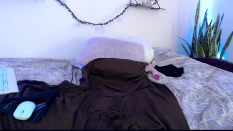Snapshot of apolo01_ chatting on 12, 1, 2025 Apolo online show from 12, 1, 2025