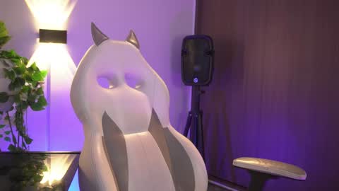 insta appolo master online show from 28, 1, 2025