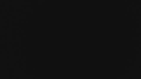 april1999350209 online show from 2, 12, 2024